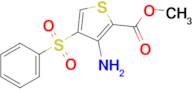 Methyl 3-amino-4-(phenylsulfonyl)thiophene-2-carboxylate