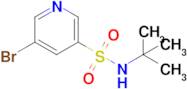 5-Bromo-N-(tert-butyl)pyridine-3-sulfonamide