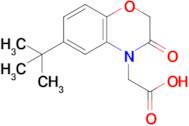 2-(6-(Tert-butyl)-3-oxo-2,3-dihydro-4H-benzo[b][1,4]oxazin-4-yl)acetic acid