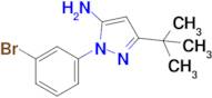 1-(3-Bromophenyl)-3-(tert-butyl)-1H-pyrazol-5-amine