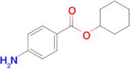 Cyclohexyl 4-aminobenzoate