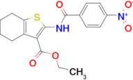 Ethyl 2-(4-nitrobenzamido)-4,5,6,7-tetrahydrobenzo[b]thiophene-3-carboxylate