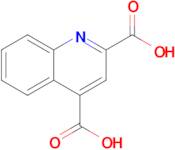 Quinoline-2,4-dicarboxylic acid