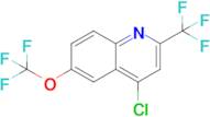 4-Chloro-6-(trifluoromethoxy)-2-(trifluoromethyl)quinoline