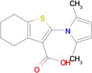 2-(2,5-Dimethyl-1H-pyrrol-1-yl)-4,5,6,7-tetrahydrobenzo[b]thiophene-3-carboxylic acid