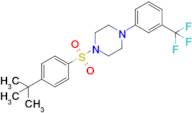1-((4-(Tert-butyl)phenyl)sulfonyl)-4-(3-(trifluoromethyl)phenyl)piperazine