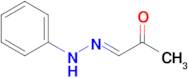 (E)-1-(2-phenylhydrazono)propan-2-one