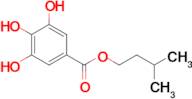 Isopentyl 3,4,5-trihydroxybenzoate