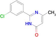 2-(3-chlorophenyl)-6-methyl-3,4-dihydropyrimidin-4-one