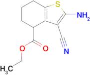 Ethyl 2-amino-3-cyano-4,5,6,7-tetrahydrobenzo[b]thiophene-4-carboxylate