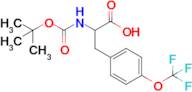 2-((Tert-butoxycarbonyl)amino)-3-(4-(trifluoromethoxy)phenyl)propanoic acid