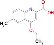 4-Ethoxy-6-methylquinoline-2-carboxylic acid