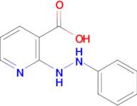 2-(2-Phenylhydrazinyl)nicotinic acid