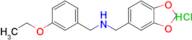 1-(Benzo[d][1,3]dioxol-5-yl)-N-(3-ethoxybenzyl)methanamine hydrochloride