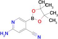 2-Amino-5-(4,4,5,5-tetramethyl-1,3,2-dioxaborolan-2-yl)isonicotinonitrile