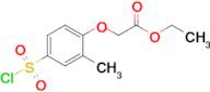 Ethyl 2-(4-(chlorosulfonyl)-2-methylphenoxy)acetate