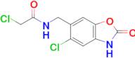 2-chloro-N-[(5-chloro-2-oxo-2,3-dihydro-1,3-benzoxazol-6-yl)methyl]acetamide