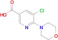 5-Chloro-6-morpholinonicotinic acid