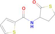 N-(2-oxotetrahydrothiophen-3-yl)thiophene-2-carboxamide