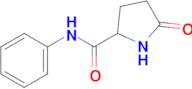 5-Oxo-N-phenylpyrrolidine-2-carboxamide