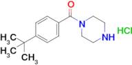 (4-(Tert-butyl)phenyl)(piperazin-1-yl)methanone hydrochloride