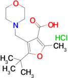 5-(Tert-butyl)-2-methyl-4-(morpholinomethyl)furan-3-carboxylic acid hydrochloride