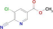 Methyl 5-chloro-6-cyanonicotinate