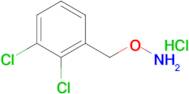 O-(2,3-dichlorobenzyl)hydroxylamine hydrochloride