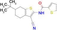 N-(6-(tert-butyl)-3-cyano-4,5,6,7-tetrahydrobenzo[b]thiophen-2-yl)thiophene-2-carboxamide