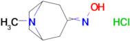 8-Methyl-8-azabicyclo[3.2.1]Octan-3-one oxime hydrochloride