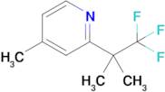 4-Methyl-2-(1,1,1-trifluoro-2-methylpropan-2-yl)pyridine