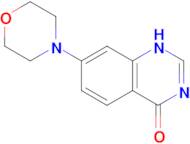 7-(morpholin-4-yl)-1,4-dihydroquinazolin-4-one