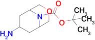 Tert-butyl 7-amino-3-oxa-9-azabicyclo[3.3.1]Nonane-9-carboxylate