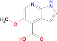 5-Methoxy-1H-pyrrolo[2,3-b]pyridine-4-carboxylic acid