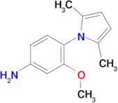 4-(2,5-Dimethyl-1H-pyrrol-1-yl)-3-methoxyaniline