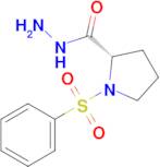 (S)-1-(phenylsulfonyl)pyrrolidine-2-carbohydrazide