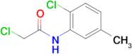 2-Chloro-N-(2-chloro-5-methylphenyl)acetamide