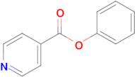 Phenyl isonicotinate