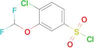 4-Chloro-3-(difluoromethoxy)benzenesulfonyl chloride