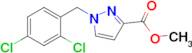 Methyl 1-(2,4-dichlorobenzyl)-1H-pyrazole-3-carboxylate