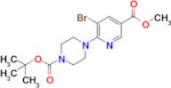 Tert-butyl 4-(3-bromo-5-(methoxycarbonyl)pyridin-2-yl)piperazine-1-carboxylate