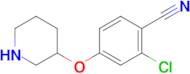 2-Chloro-4-(piperidin-3-yloxy)benzonitrile