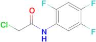 2-Chloro-N-(2,4,5-trifluorophenyl)acetamide