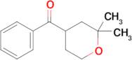 (2,2-Dimethyltetrahydro-2H-pyran-4-yl)(phenyl)methanone