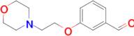 3-(2-Morpholinoethoxy)benzaldehyde