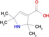 2,2,5,5-Tetramethyl-2,5-dihydro-1H-pyrrole-3-carboxylic acid