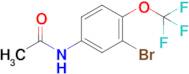 N-(3-bromo-4-(trifluoromethoxy)phenyl)acetamide