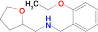 N-(2-ethoxybenzyl)-1-(tetrahydrofuran-2-yl)methanamine