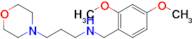 N-(2,4-dimethoxybenzyl)-3-morpholinopropan-1-amine