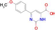 6-(4-methoxyphenyl)-2-oxo-2,3-dihydropyrimidine-4-carboxylic acid